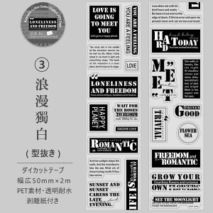 o ^ p  _CJbge[v NAe[v L50mm Ch^Cv R[Wf  XebJ[ p p At@xbg  f }XLOe[v  e[v