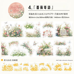 o ^ LVF _CJbge[v NAe[v L50mm  ̉  }   ݂艺 ϗtA 鐫A   CXgV[ R[Wf ԕ }XLO