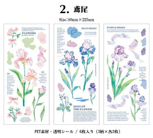 o  COXebJ[ NA V[V[g PETf WNW[i R[W f 蒠fR fR[V  LME f   t[c V[ COV[