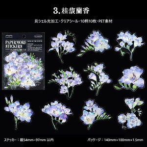 o NAV[ LVF 傫 ؂₩ R[Wf  [Y KN Ԃт o ֎썹 ފ݉ CXg V[ _ V[ R[W f V[ 10 PET ϐ 