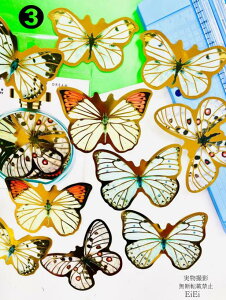 o COV[ 傫TCY   R[Wf NAV[ o^tC X 1010 t[NV[ PET  ϐ V[ WNW[i 蒠fR R[W f f