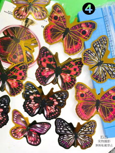 o COV[ 傫TCY   R[Wf NAV[ o^tC X 1010 t[NV[ PET  ϐ V[ WNW[i 蒠fR R[W f f