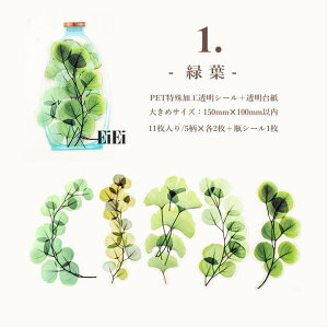 o NAV[ [WTCY  R[Wf  ԕ r V[ V[ V[ _ z  ` COXebJ[ 傫 fR[V PETV[ {g