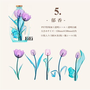 o NAV[ [WTCY  R[Wf  ԕ r V[ V[ V[ _ z  ` COXebJ[ 傫 fR[V PETV[ {g