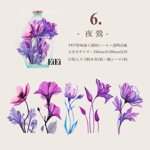 o NAV[ [WTCY  R[Wf  ԕ r V[ V[ V[ _ z  ` COXebJ[ 傫 fR[V PETV[ {g