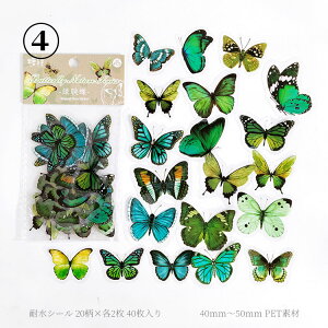 o NAV[  傫 PET ϐ  V[ 40 R[Wf  zI X o^tC COXebJ[  COV[ t[NV[ WNW[i R[