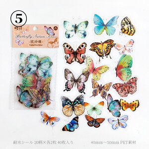 o NAV[  傫 PET ϐ  V[ 40 R[Wf  zI X o^tC COXebJ[  COV[ t[NV[ WNW[i R[