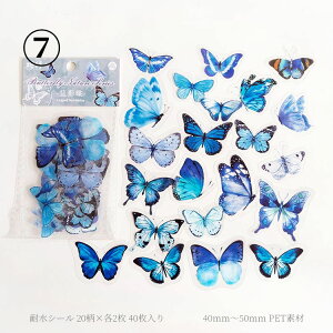 o NAV[  傫 PET ϐ  V[ 40 R[Wf  zI X o^tC COXebJ[  COV[ t[NV[ WNW[i R[