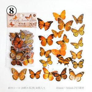 o NAV[  傫 PET ϐ  V[ 40 R[Wf  zI X o^tC COXebJ[  COV[ t[NV[ WNW[i R[