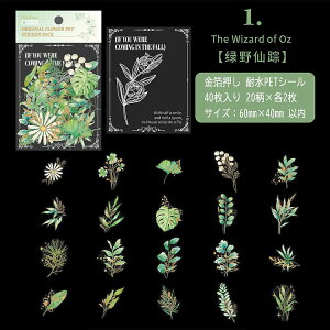 o  ϐ NAV[ 40 ԕ Ԃт t CXgV[ V[ R[Wf l 蒠 킢 PET ϐV[ V[ COV[ R[W f f