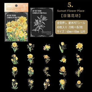 o  ϐ NAV[ 40 ԕ Ԃт t CXgV[ V[ R[Wf l 蒠 킢 PET ϐV[ V[ COV[ R[W f f