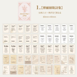 o V[ubN 50 l p  XebJ[ }XeV[ R[Wf p  f uE  AeB[N g WNW[i f CO R[W fR