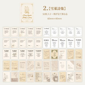 o V[ubN 50 l p  XebJ[ }XeV[ R[Wf p  f uE  AeB[N g WNW[i f CO R[W fR