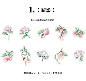 o NAV[ 傫     S  z AWTC  CXg V[ R[Wf t[c ʕ ԕ PET ϐ XebJ[ XNbvubLO 