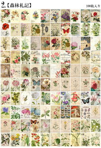 o CO Be[Wy[p[ 100  SĈقȂ fގ wi R[Wf g fUCy[p[ CXgJ[g 蒠 | fR f re[W AeB[N k