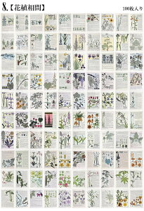 o CO Be[Wy[p[ 100  SĈقȂ fގ wi R[Wf g fUCy[p[ CXgJ[g 蒠 | fR f re[W AeB[N k