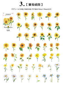 o NAV[ 10050 t[NV[  ԕ CO R[W f Zbg e t[ A KN [Y AWTC Ђ܂ t ϐ WNW[i fR[V