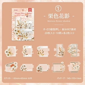 o I[┓ V[ lKtB ԕ lK t[ PETV[ R[Wf  [Y KN p z AWTC  uE NAV[ PETV[ ϐ h