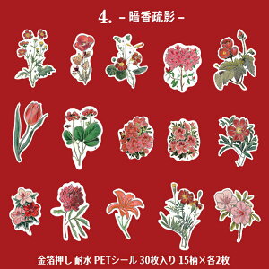 o  NAV[ 30 }bgȎ KN [Y ԕ NAV[ PET ϐ V[ R[Wf  [Y t t[ CXgV[ COXebJ[ hV