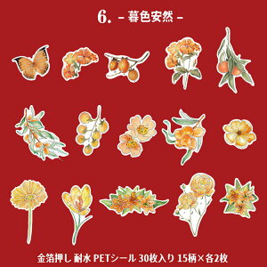 o  NAV[ 30 }bgȎ KN [Y ԕ NAV[ PET ϐ V[ R[Wf  [Y t t[ CXgV[ COXebJ[ hV