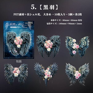 ���[ ������ �C�O�V�[�� �傫�� �L�V�F�������H �� �H�� �H �H�� �t�F�U�[ ���� �ԕ� �R���[�W�� �f�� �N���A�V�[�� PET �ϐ� �X�e�b�J�[ �R���[�W���f�� �X�N���b�v�u�b�L���O �f�R���[�V��