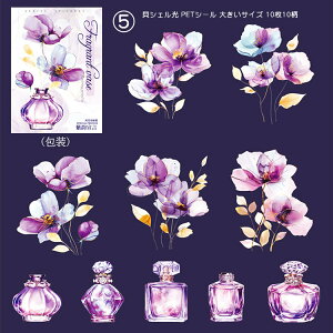 o  NAV[ 傫 LVFH ԕ r V[ V[ PETV[ R[Wf   [Y KN r CXgV[ [WTCY ϐV