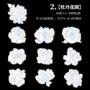 o I[ COXebJ[ ؂₩ ԕ 傫 KN O [Y o R[W f XNbvubLO CO V[ 20 PETf fR ϐ S  e NAV[ R