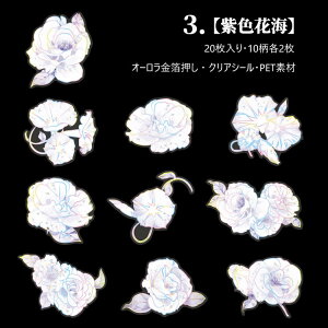 o I[ COXebJ[ ؂₩ ԕ 傫 KN O [Y o R[W f XNbvubLO CO V[ 20 PETf fR ϐ S  e NAV[ R