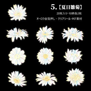 o I[ COXebJ[ ؂₩ ԕ 傫 KN O [Y o R[W f XNbvubLO CO V[ 20 PETf fR ϐ S  e NAV[ R