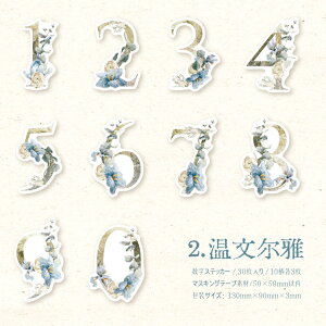 o V[ ԕ XebJ[ tV[  io[ XebJ[ }XeV[ p  t[ t[NV[ 30 XNbvubLO R[W f Zbg COV