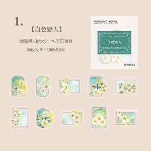 o NAV[  COXebJ[ ؂₩ t[NV[  R[W f Zbg NA XebJ[ XNbvubLO 蒠 V[ PETf KN [Y  e W