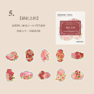 o NAV[  COXebJ[ ؂₩ t[NV[  R[W f Zbg NA XebJ[ XNbvubLO 蒠 V[ PETf KN [Y  e W