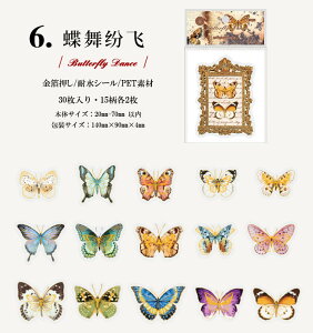 o NAV[  ؂₩ COXebJ[ G  A[g ԕ A ~V l p p    t[  R[W f 30 t[NV[ W