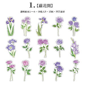 o CO XebJ[ V[ R[W f ԕ NAV[ 30 PETf ϐ t[NV[ WNW[i XNbvubLO 蒠 V[ F F sN F K