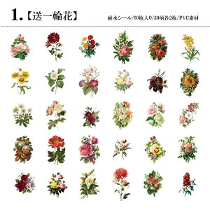 o COXebJ[ NAV[ ϐV[ 60 30 e XNbvubLO R[W f _CJbg V[ ԕ  H H   mg[ t C`S  KN 