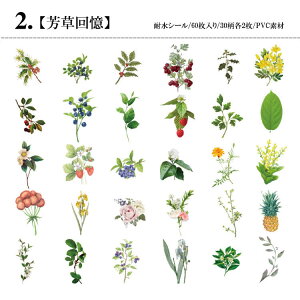 �����o�� �C�O�X�e�b�J�[ �N���A�V�[�� �ϐ��V�[�� 60�� 30�� ��e�� �X�N���b�v�u�b�L���O �R���[�W�� �f�� �_�C�J�b�g �V�[�� �ԕ� �� �H�� �H ���� ���� ���m�g�[�� �t���� �C�`�S � �K�N 