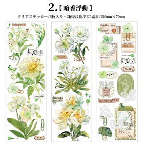 o R[Wf  V[ c V[V[g ԕ KN [X lK t[ A p p ^O R[W f PET ϐ XebJ[ NA 6V[g c210mm  XN