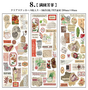 o R[Wf  V[ c V[V[g ԕ KN [X lK t[ A p p ^O R[W f PET ϐ XebJ[ NA 6V[g c210mm  XN