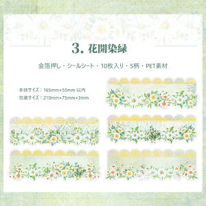 o PET V[  傫 [X ԕ R[Wf V[ KN [Y  PETf ϐ XebJ[ _CJbg V[ [WTCY 唻  [X V[ XebJ[