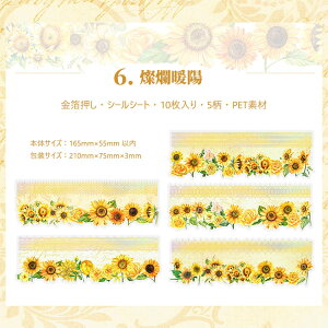 o PET V[  傫 [X ԕ R[Wf V[ KN [Y  PETf ϐ XebJ[ _CJbg V[ [WTCY 唻  [X V[ XebJ[