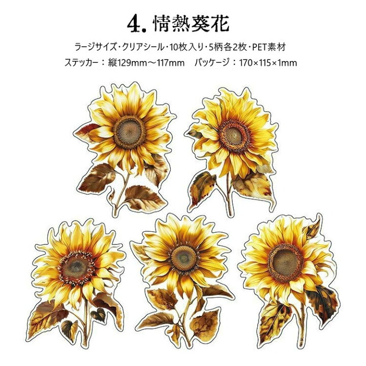 楽天市場】即日出荷 クリアシール ラージサイズ 華やか 大きめ 薔薇 