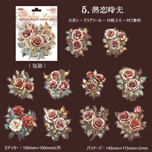 o NAV[ 傫 ؂₩ [Y KN ԑ Ԃт S[h ϐ CXgV[ R[Wf  ԕ ̊ [WTCY R[W o 10 PET ϐ _   