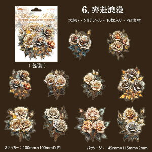 o NAV[ 傫 ؂₩ [Y KN ԑ Ԃт S[h ϐ CXgV[ R[Wf  ԕ ̊ [WTCY R[W o 10 PET ϐ _   