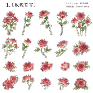 o ԕ NAV[ t[NV[  ԕ R[Wf V[ 2020t[ A KN [Y AWTC  CXg PETf ϐ XebJ[ WNW[i f