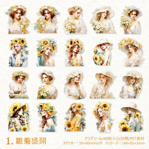 o lV[ NAV[   O  l CXg ԑ  ̎q Mwl LN^[ XebJ[ R[Wf l V[ lXebJ[ 40 20 Be