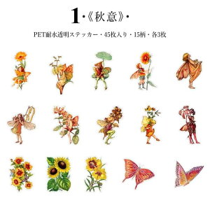 o NAV[ Ԃ̗d 45 V[ t[NV[ d   p XebJ[ CO R[W f NAXebJ[ fR ̎q j̎q PETϐ V[ WNW