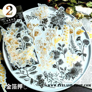 o }XeV[  60 傫 R[W f V[ t[NV[ ԕ S[h mg[ mN F  t[ R[Wf KN V[ WNW[i 