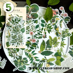 o }XeV[  60 傫 R[W f V[ t[NV[ ԕ S[h mg[ mN F  t[ R[Wf KN V[ WNW[i 