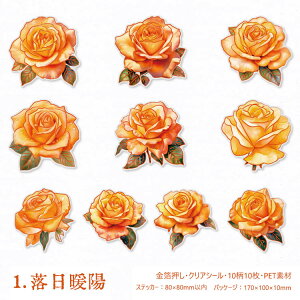 o  ؂₩ 傫 KN [Y Ԃт ԕ CXgV[ NAV[ R[Wf  ϐ PET  XNbvubLO o 10 PET ϐ  zCg  