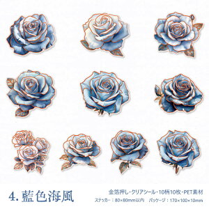 o  ؂₩ 傫 KN [Y Ԃт ԕ CXgV[ NAV[ R[Wf  ϐ PET  XNbvubLO o 10 PET ϐ  zCg  